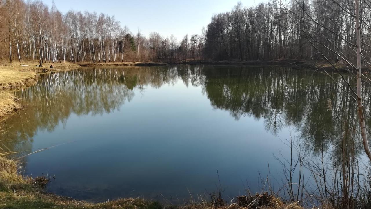 Agroturystyka Kameralna93 Ochaby Buitenkant foto